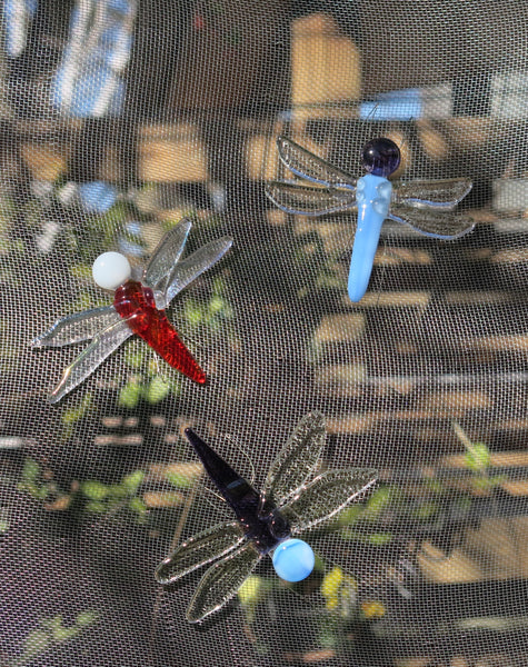 glass fusion screen door saver dragonfly