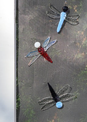 glass fusion screen door saver dragonfly