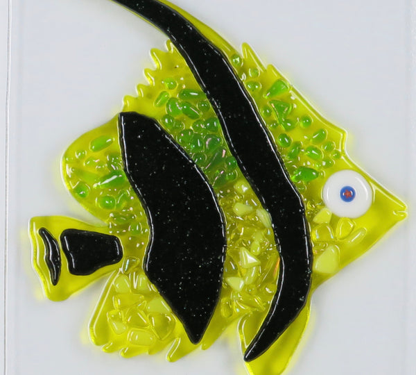 Angel fish Yellow facing right