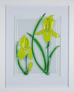Iris Unbound Yellow